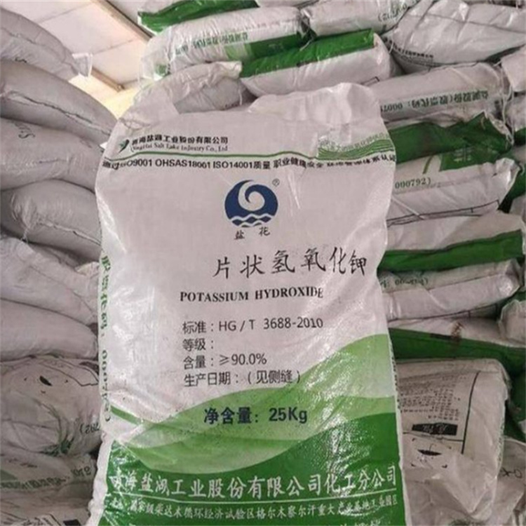 快来搞我的B